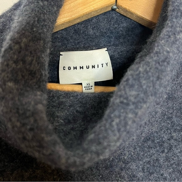 Aritzia | Community Blue Wool Turtleneck