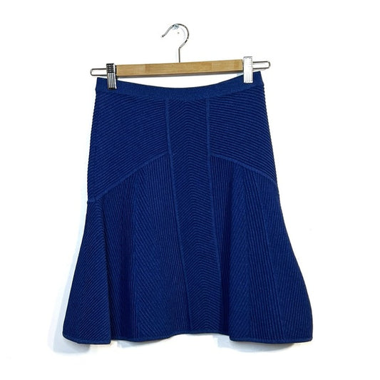 Ronny Kobo | Blue Knit Skirt