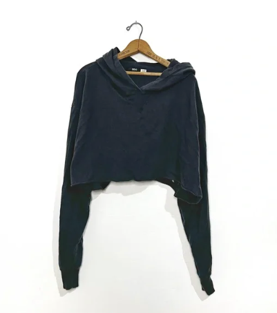 Urban Outfitters | BDG Crop Hoodie