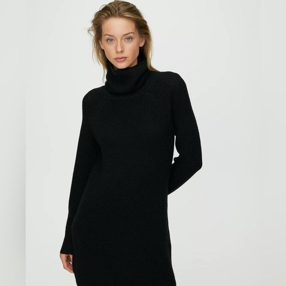 Aritzia | Wilfred Black Turtleneck Dress