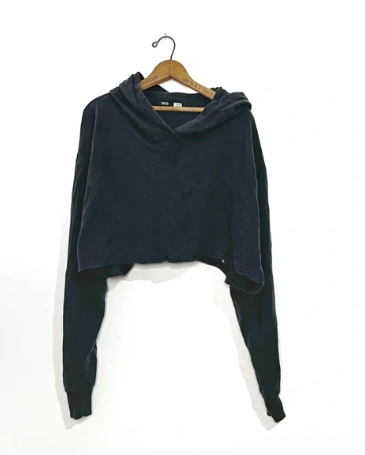 Urban Outfitters | BDG Crop Hoodie